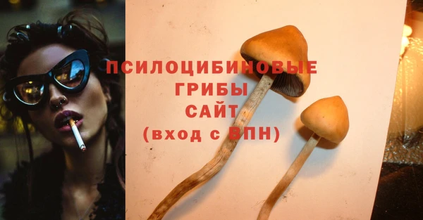 бошки Алексин