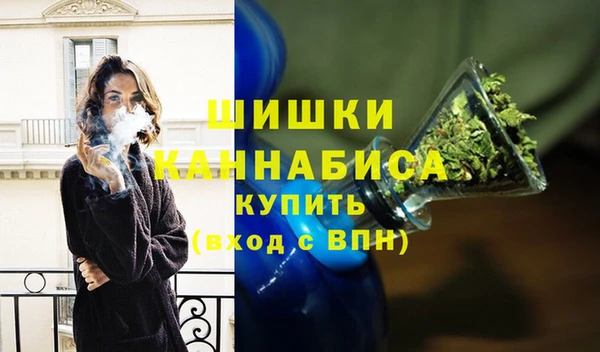 бошки Алексин